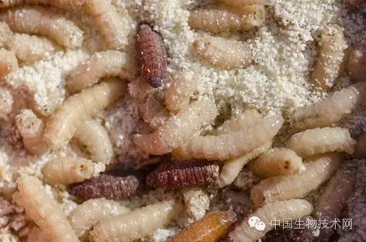 满清十大酷刑已逝，医疗九大“酷刑“还在沿用