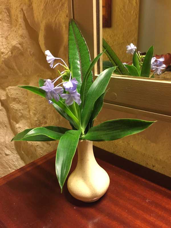 印度洋中的蜜月胜地毛里求斯,毛里求斯旅行的天堂