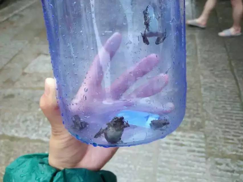 2021新生生命科学学院,生命科学学院代码