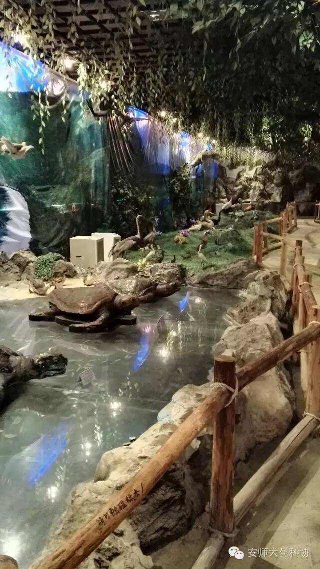 2021新生生命科学学院,生命科学学院代码