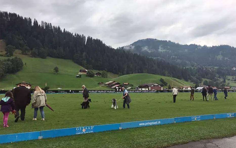 宇舶hublot瑞士手表,宇舶满钻陀飞轮手表