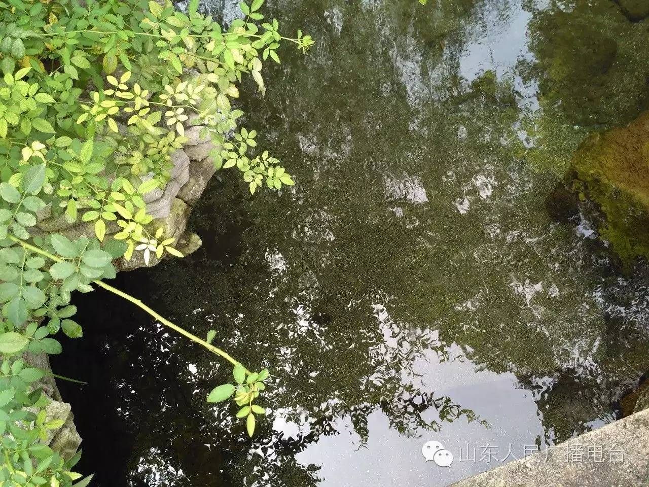 五龙潭泼水节，全家一起嗨翻天