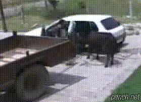 女友故意调皮,女友调皮又很乖