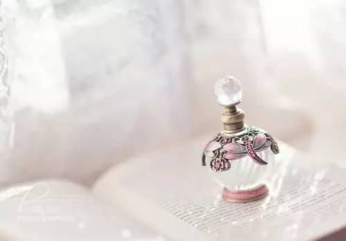 乐活家丨你天天闻的香水，竟然是用这些材料做的！再次忍住不吐
