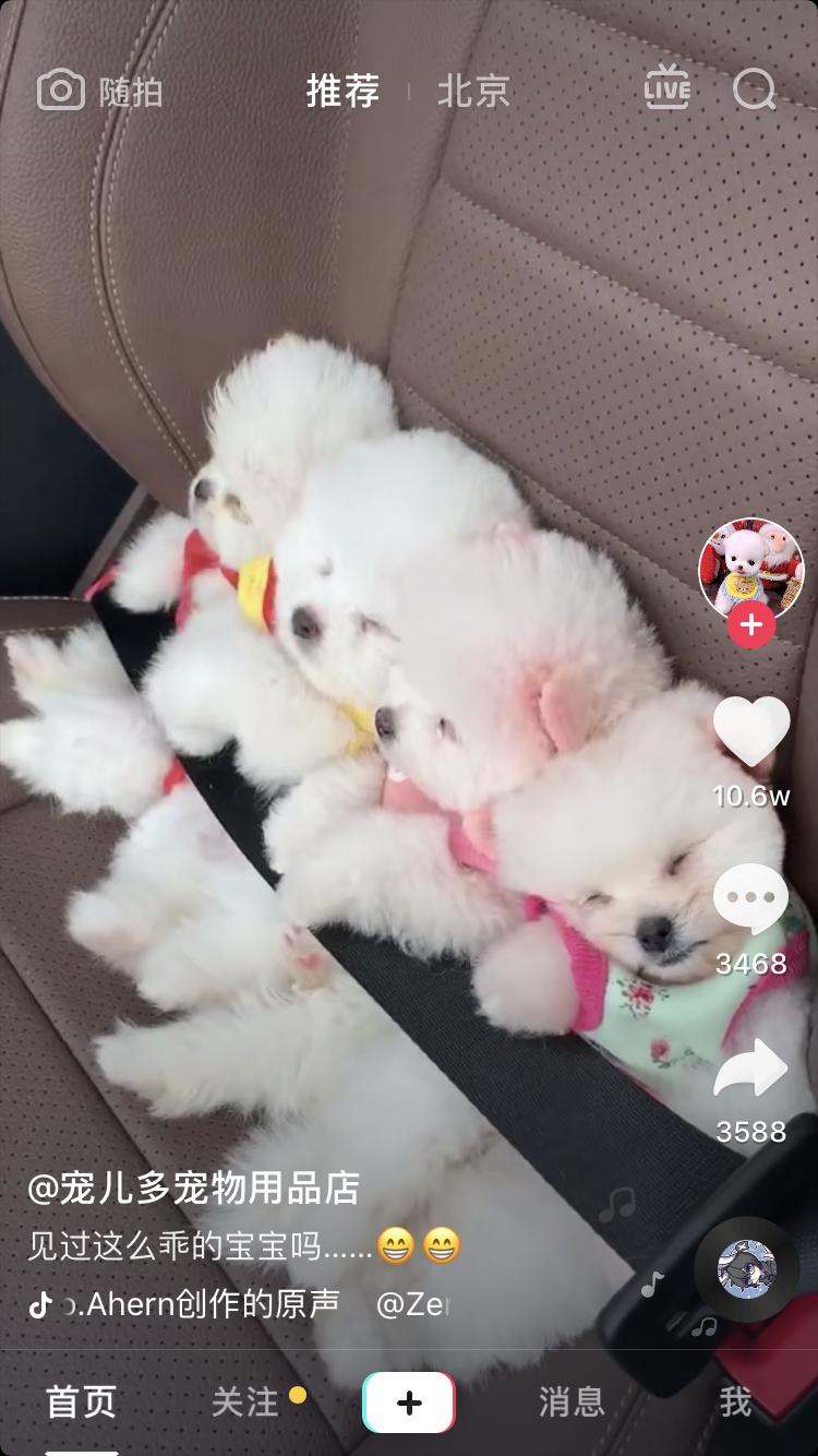 抖音认证企业号就解锁黄金权益吗,抖音认证企业号员工账号权益