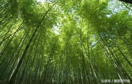 国庆小众景点推荐这些地方不用“打挤”