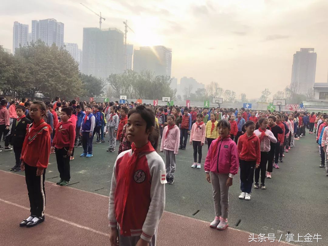 再见茶小，你好新校区！