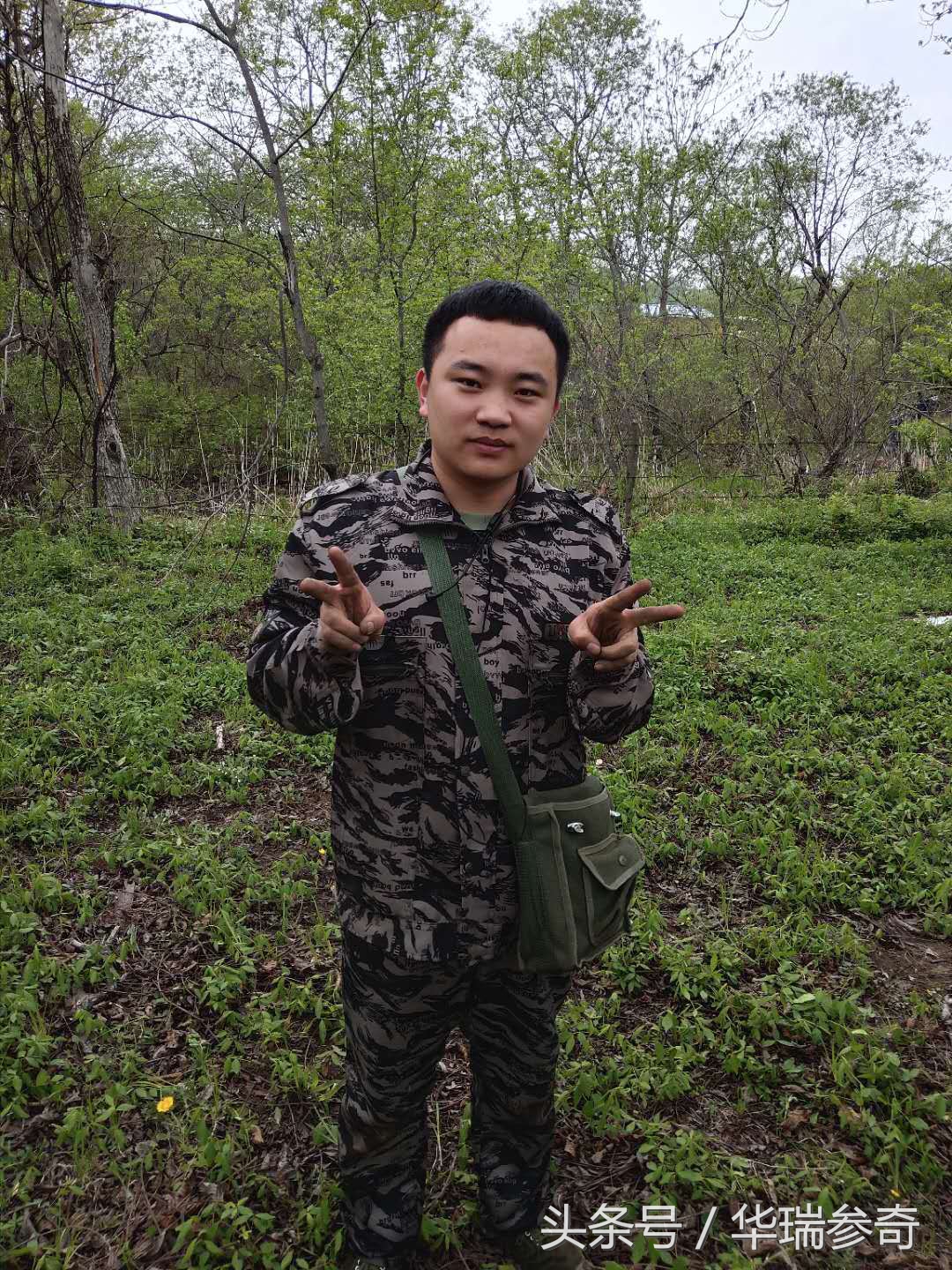 在原始森林找个地方种人参靠谱吗,原始森林的千年人参