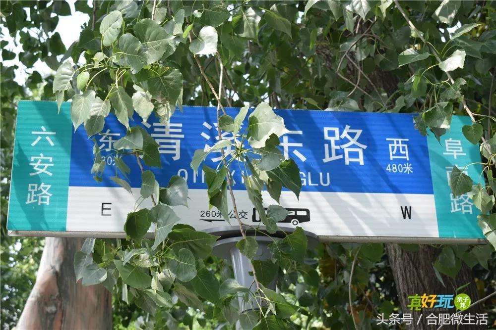 老合肥杏花公园,合肥曾经有两个杏花公园