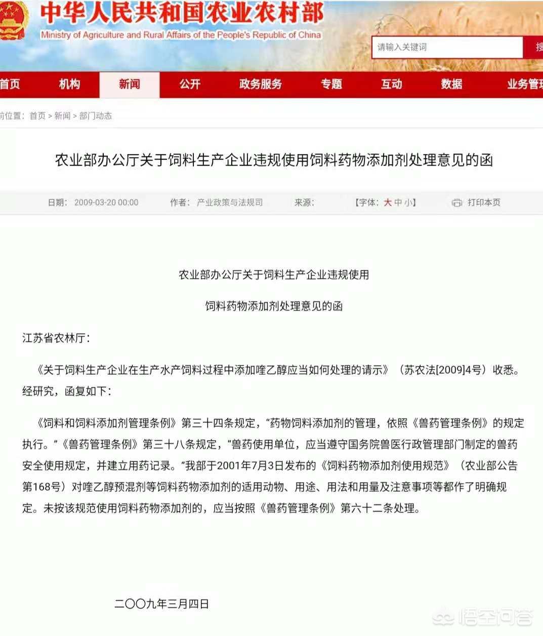 现在猪饲料是用的什么饲料,现在的猪都是喂饲料吗