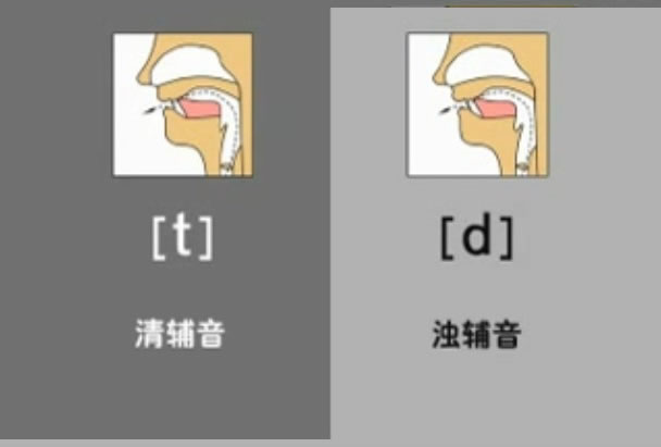 音标表48个国际音标发音教学视频,英语美式音标48个音标谐音图