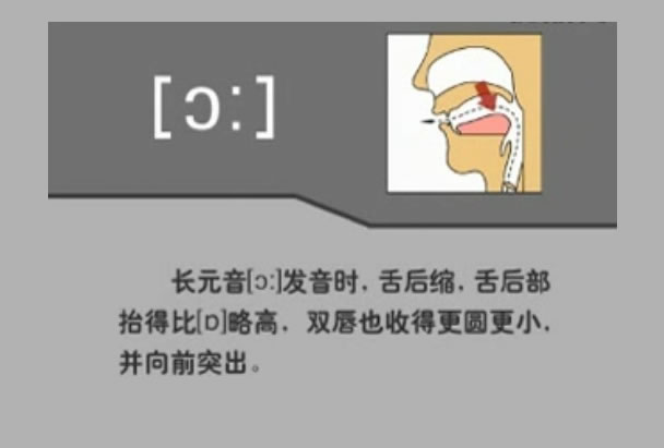 音标表48个国际音标发音教学视频,英语美式音标48个音标谐音图