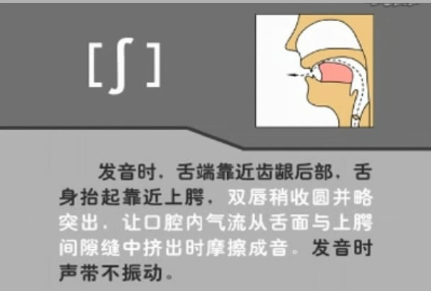 音标表48个国际音标发音教学视频,英语美式音标48个音标谐音图
