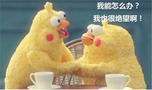 告诉手机密码什么含义,华为手机忘记了锁屏密码怎么办