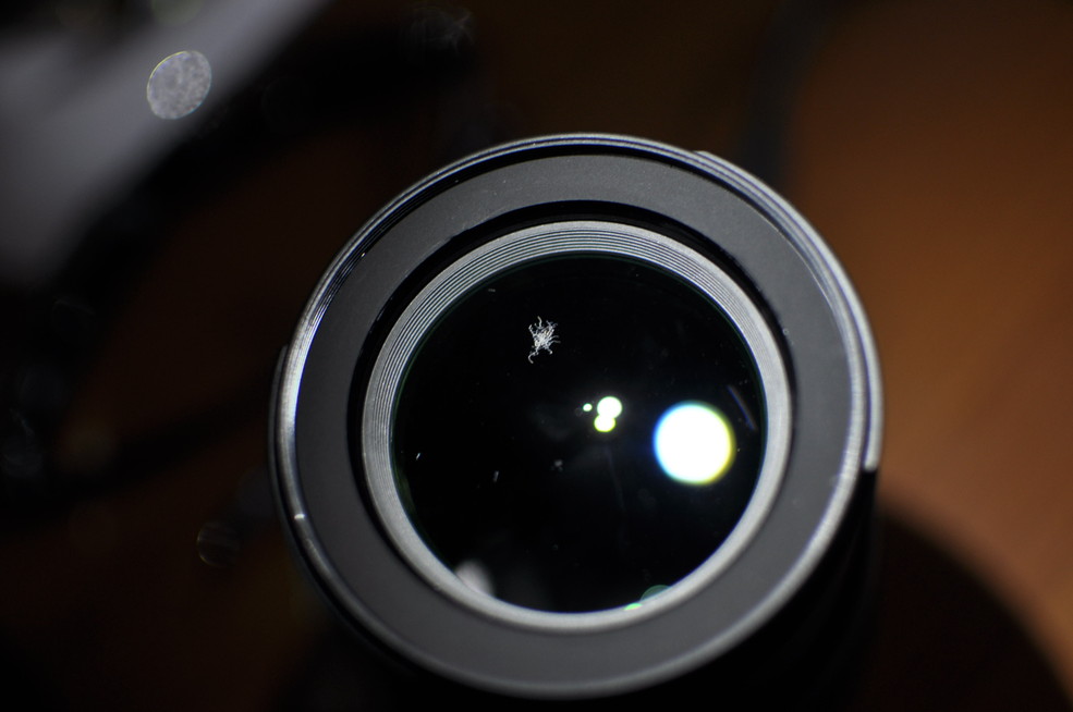 相机镜头发霉清理技巧,单反相机镜头发霉能买吗