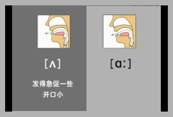 音标表48个国际音标发音教学视频,英语美式音标48个音标谐音图