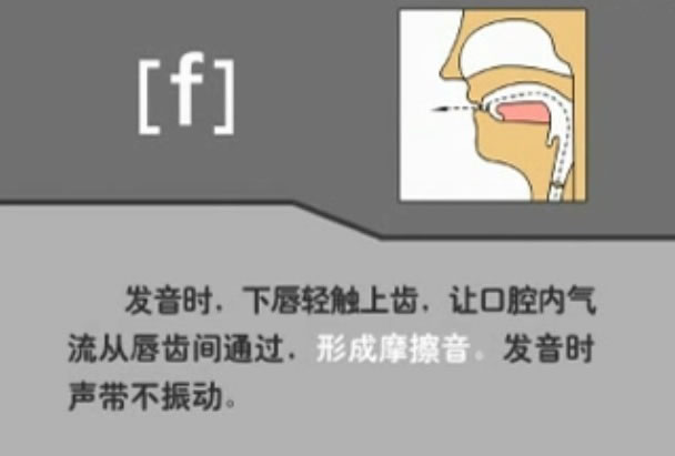 音标表48个国际音标发音教学视频,英语美式音标48个音标谐音图