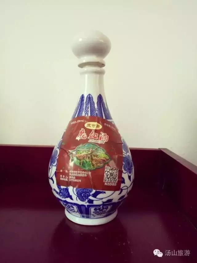 天气这么好，一起来汤山钓鱼、骑马、吃鹿肉、看鳄鱼吧！