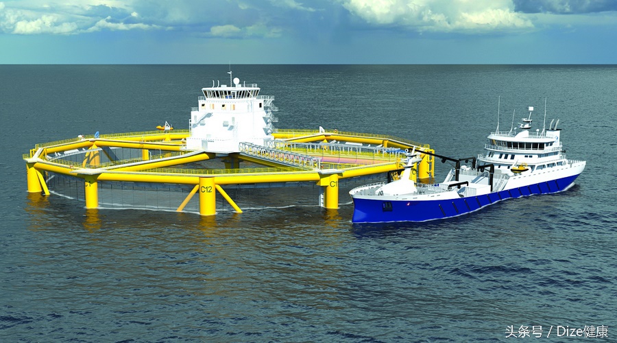 日料的刺身有寄生虫吗,日料生鱼片有风险吗