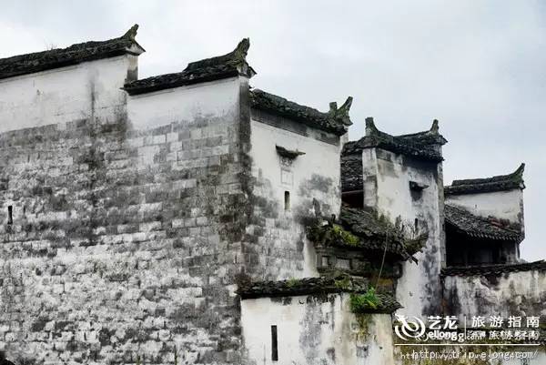 秋天来了该好好生活,秋天来了又该准备秋装了