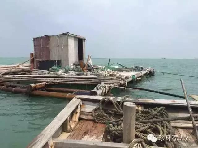 百天百问之第47问：｜干货90分钟语音分享购买珍珠关注事项