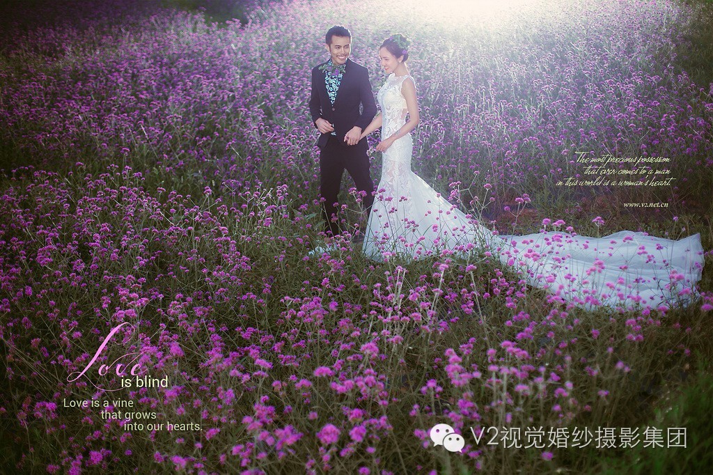 v2视觉摄影,v2视觉摄影作品