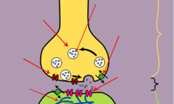 抽动症一定会经历六个阶段吗,抽动症的孩子是因为缺乏安全感吗