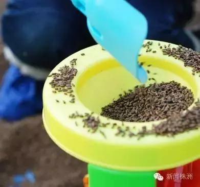 7岁女童沙坑玩出妇科炎症？！