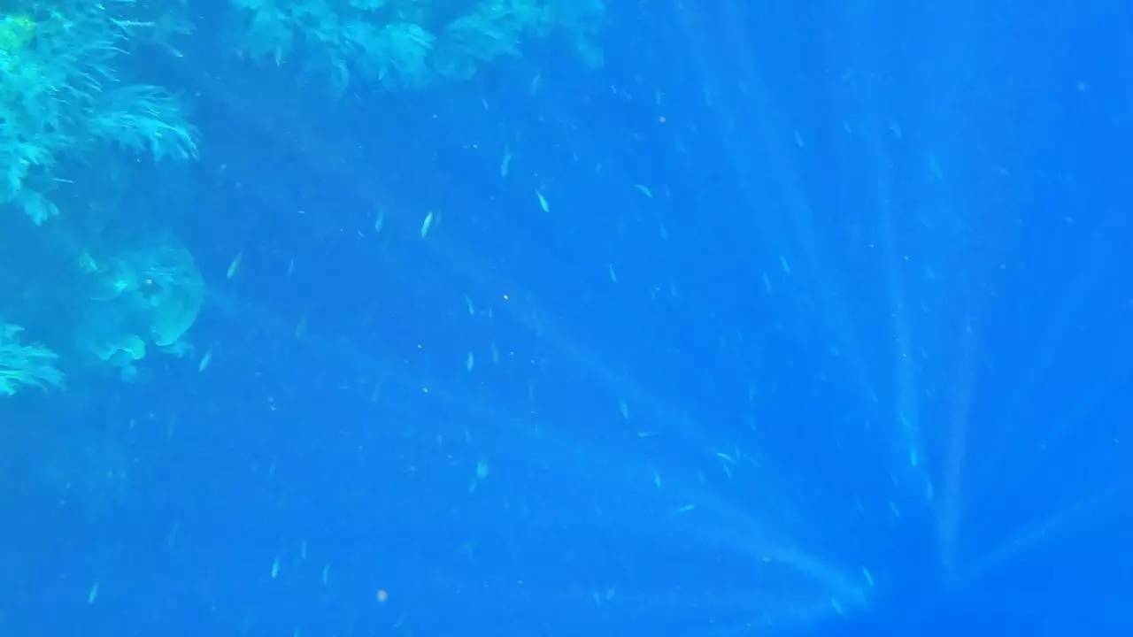 月薪3000的tiffany蓝钻岛