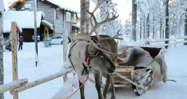 iphone一些小细节,iphone的小细节太棒了吧