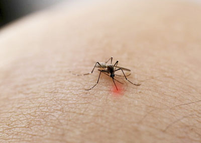 纹身夏天如何防止掉色,防止纹身掉色的方法