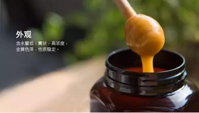 澳洲人竟把麦卢卡当“珠宝”卖！告诉你关于新西兰麦卢卡的一切