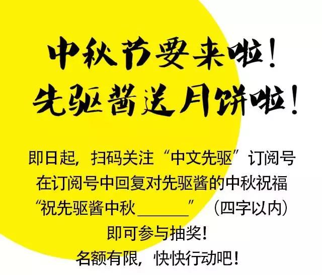 澳洲人竟把麦卢卡当“珠宝”卖！告诉你关于新西兰麦卢卡的一切