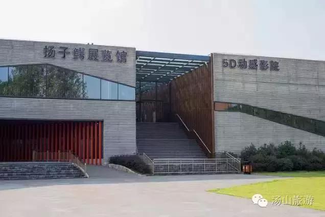 天气这么好，一起来汤山钓鱼、骑马、吃鹿肉、看鳄鱼吧！