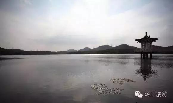 天气这么好，一起来汤山钓鱼、骑马、吃鹿肉、看鳄鱼吧！