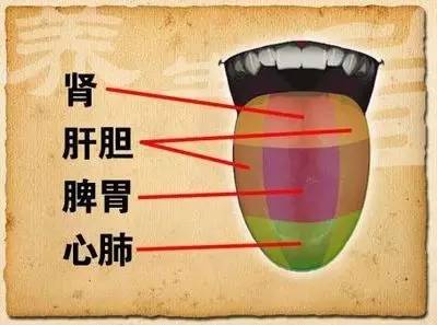 探索宝宝身上独特的秘密,探索宝宝的奇妙之旅