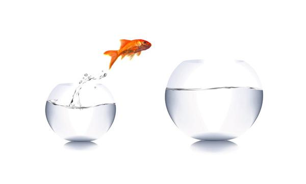 淘金币有什么用处能领吗,淘金币有哪些用