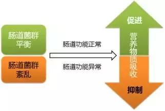 良辰吉时剖腹产,生孩子按吉时剖腹产