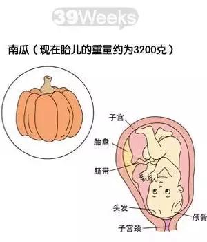 良辰吉时剖腹产,生孩子按吉时剖腹产