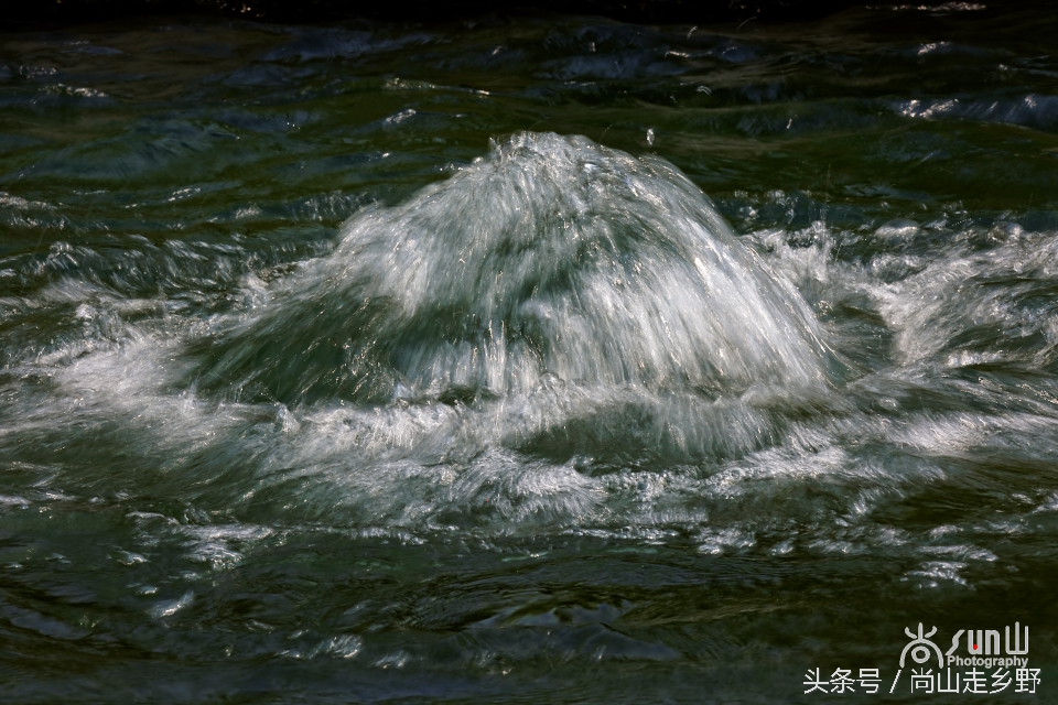 这眼泉好神奇！用泉水洗眼，少年不近视，老者不花眼！