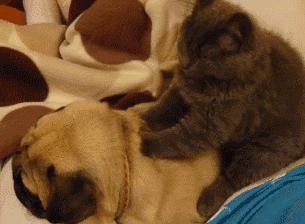 种草剁手党,欧尼种草好物