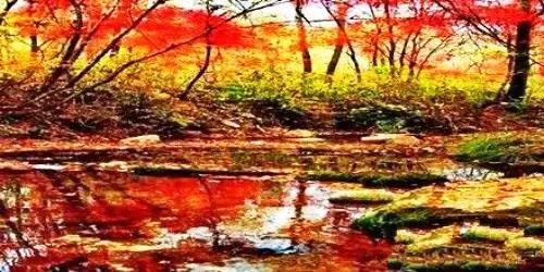 洛阳涧西区好玩的景点,洛阳郑州好玩的景点推荐