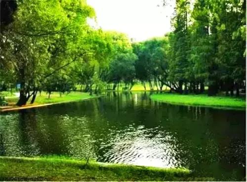 洛阳涧西区好玩的景点,洛阳郑州好玩的景点推荐