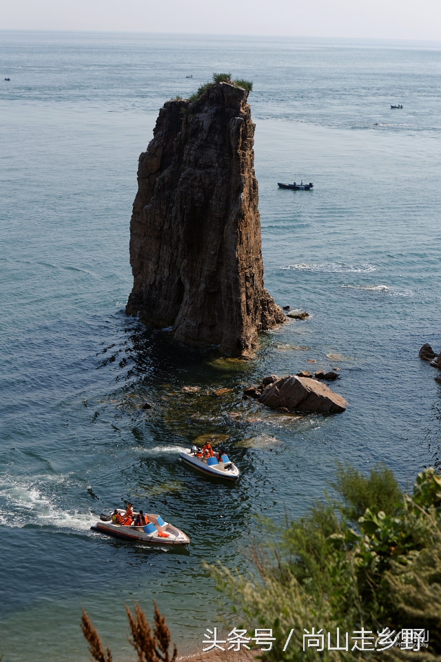 这座没有居民的小岛，是海鸥的王国，为何却叫海驴岛？