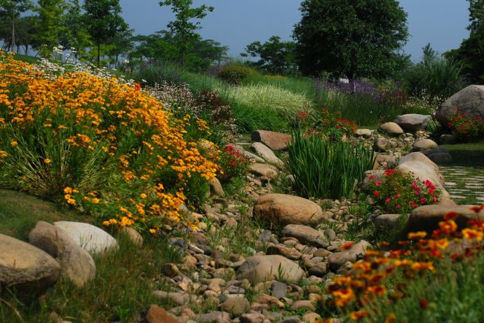 辰山植物园旱溪花境,上海辰山植物园珍稀植物