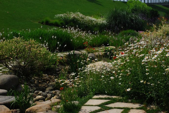 辰山植物园旱溪花境,上海辰山植物园珍稀植物