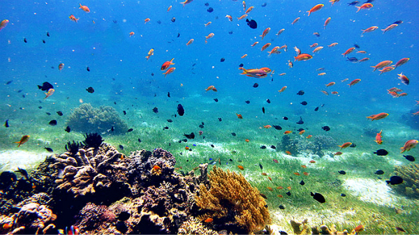 月薪3000的tiffany蓝钻岛