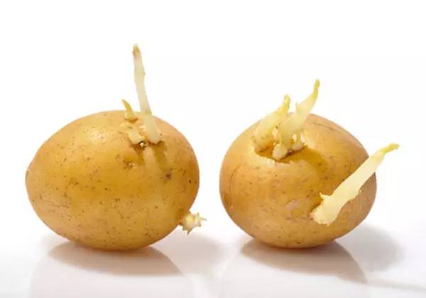 衣服腋下发黄怎么回事,衣服腋下发黄怎么洗