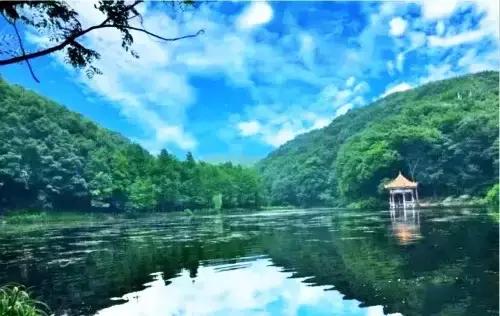 洛阳涧西区好玩的景点,洛阳郑州好玩的景点推荐