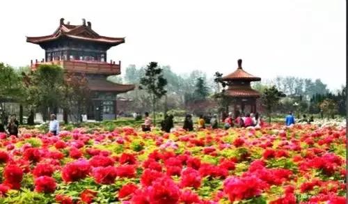 洛阳涧西区好玩的景点,洛阳郑州好玩的景点推荐